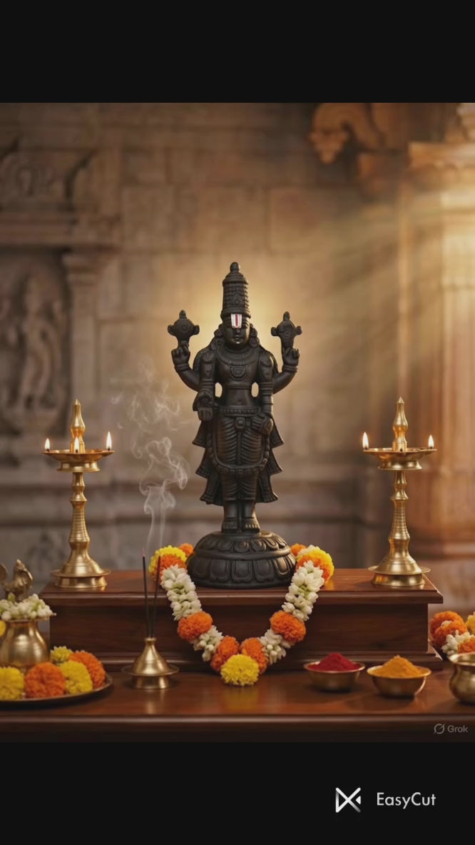 Lord Venkateswara Black Murti - 8